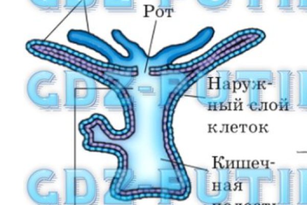 Зайти на кракен тор