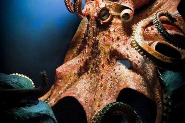 Сайт кракен kraken